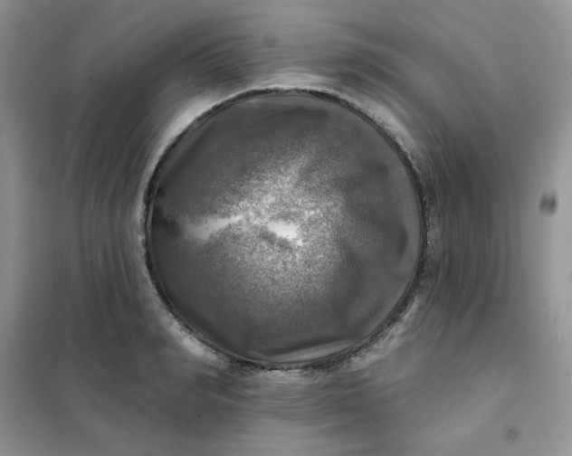 X0000102020990200808011419