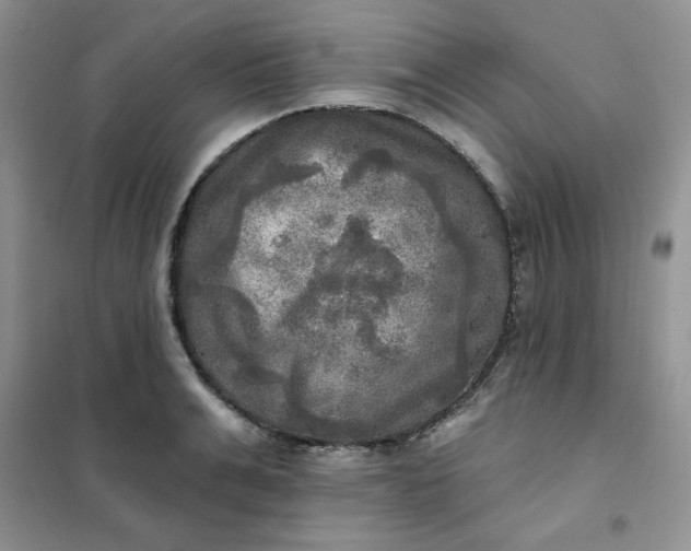 X0000102020991200808011419