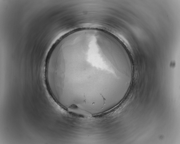 X0000102020992200808011419