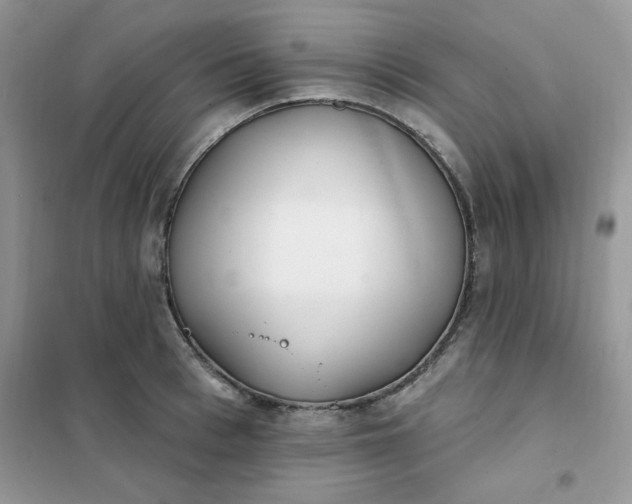 X0000102020993200808011419