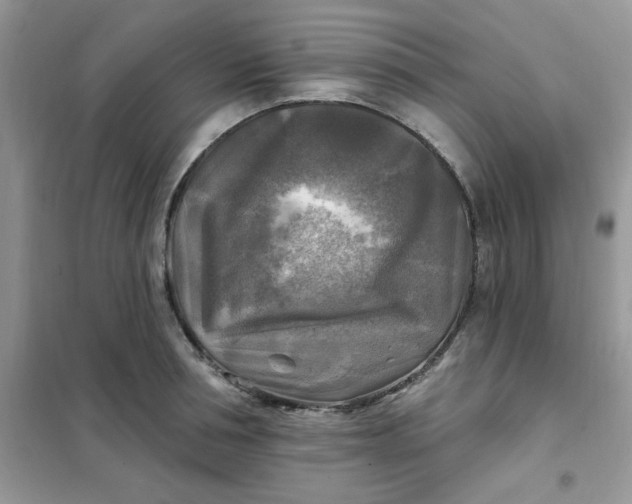 X0000102020994200808011419