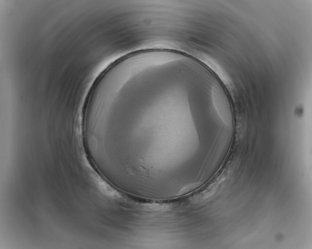 X0000102020996200808011419