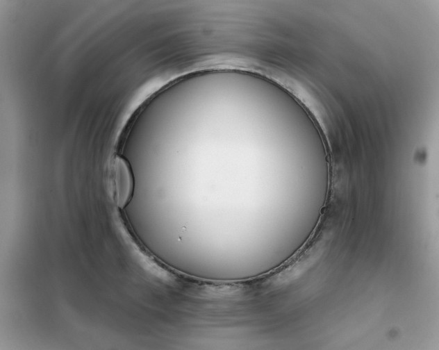X0000102020997200808011419