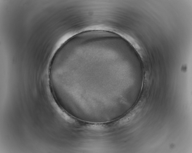 X0000102020998200808011419
