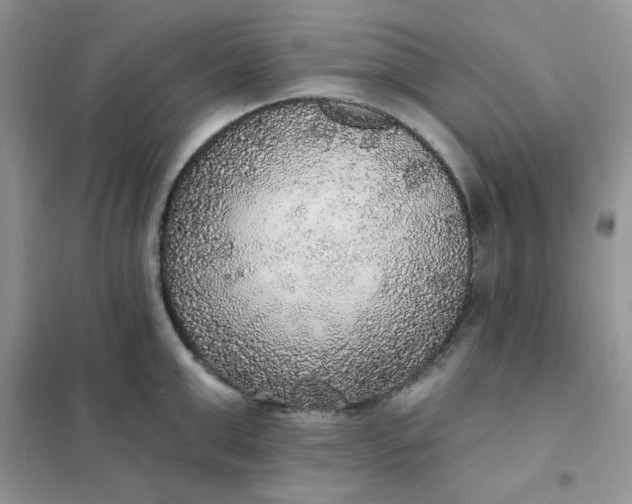 X0000102020999200808011419