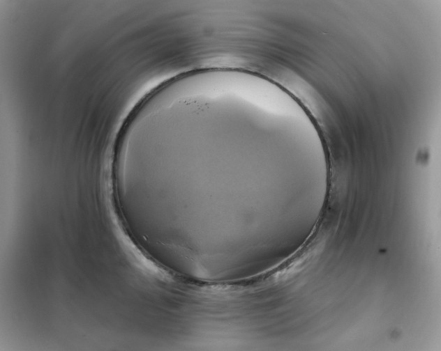X0000102021000200808011419
