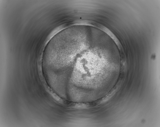 X0000102021002200808011419