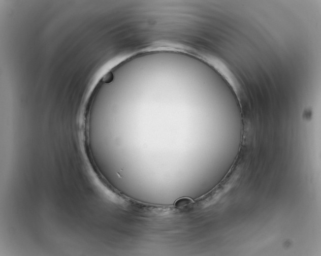 X0000102021003200808011419