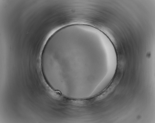 X0000102021004200808011419