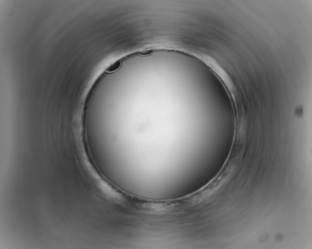 X0000102021005200808011419