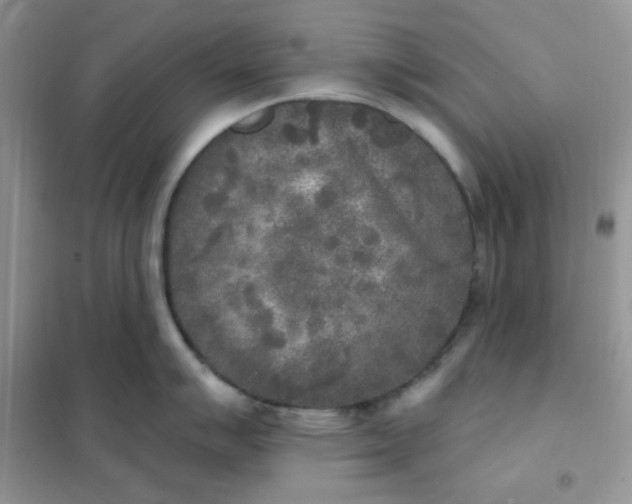 X0000102021007200808011419