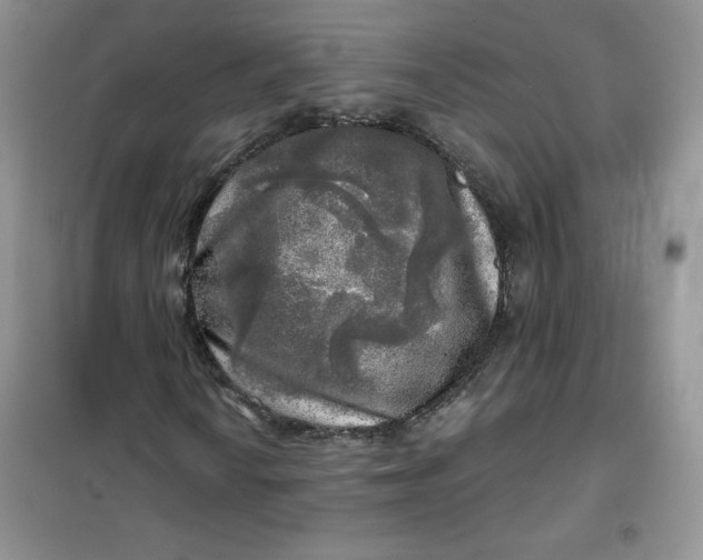X0000102021010200808011418