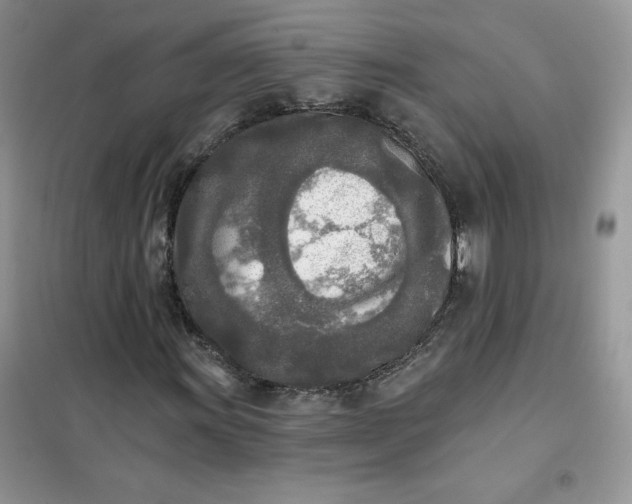 X0000102021011200808011418