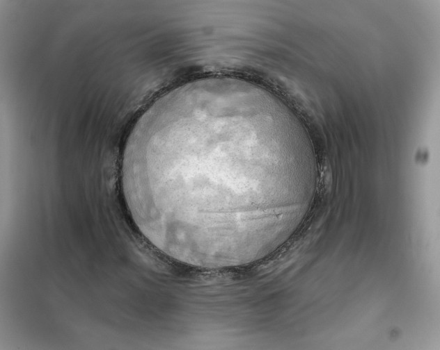 X0000102021012200808011418