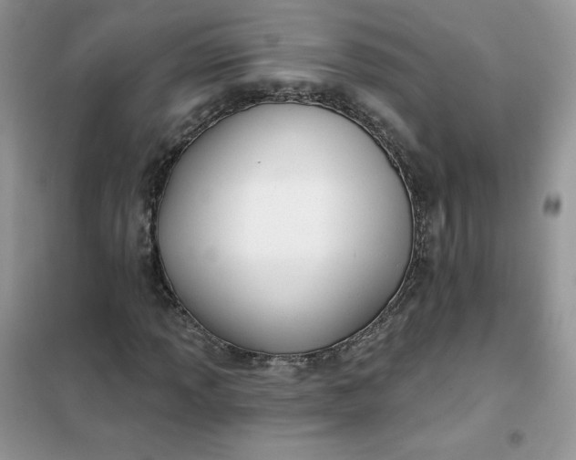 X0000102021013200808011418