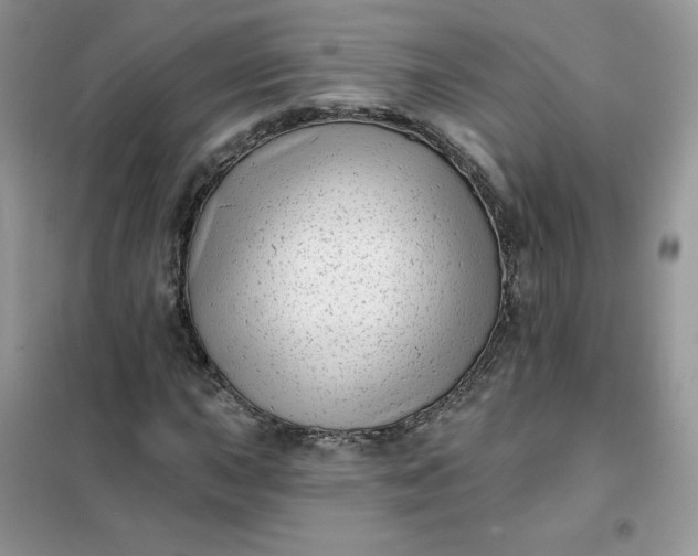 X0000102021015200808011418