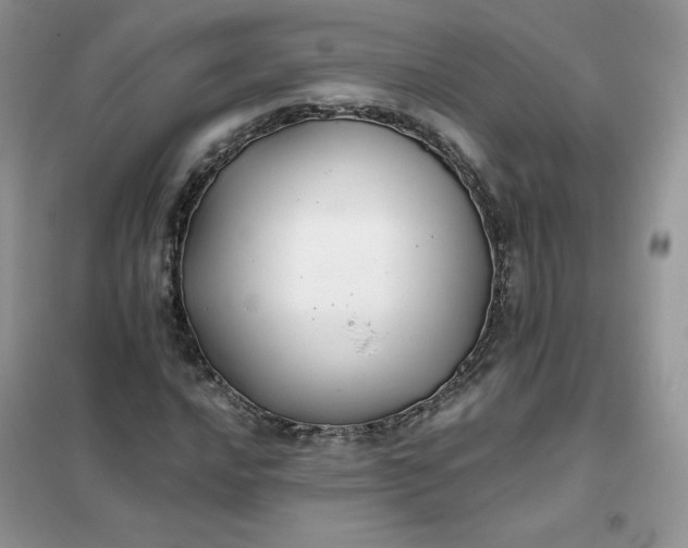 X0000102021016200808011418