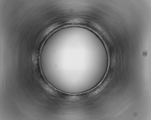 X0000102021017200808011418