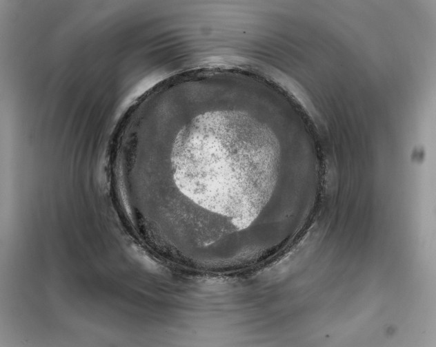 X0000102021018200808011418