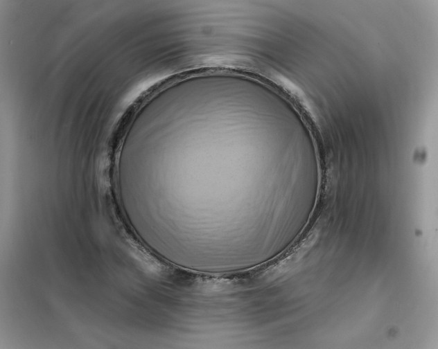X0000102021019200808011418