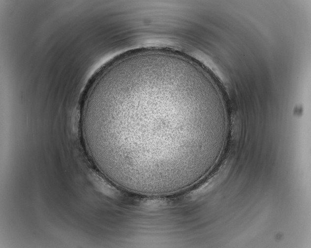 X0000102021021200808011419
