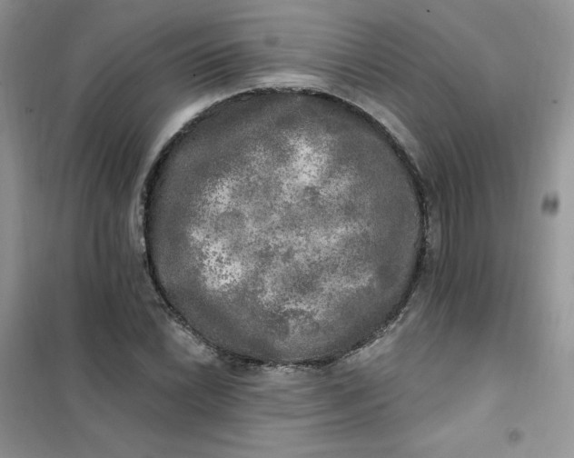 X0000102021022200808011419