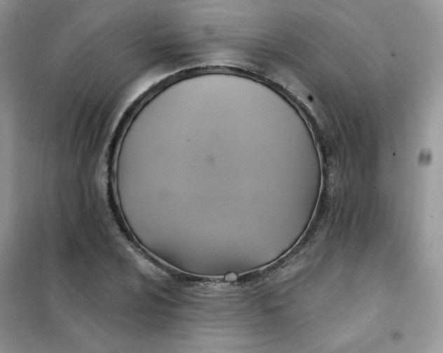 X0000102021024200808011419