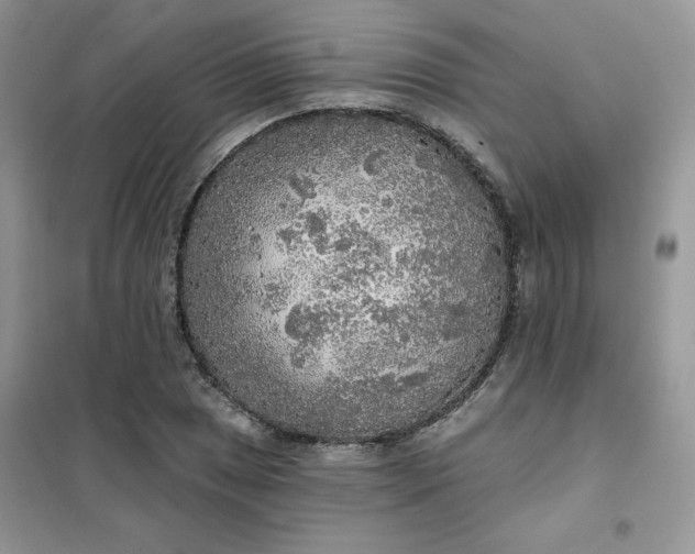X0000102021025200808011419
