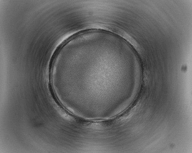 X0000102021028200808011419