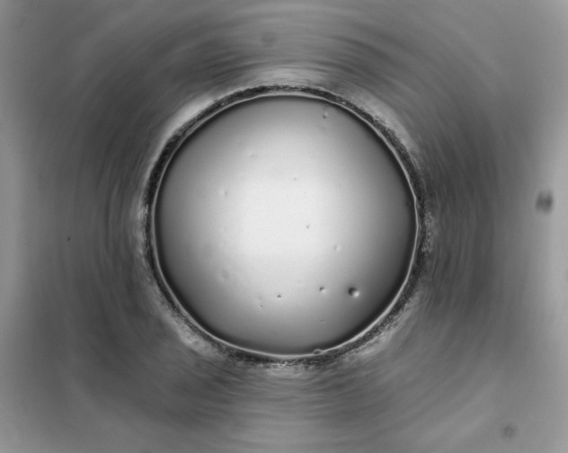 X0000102021029200808011419