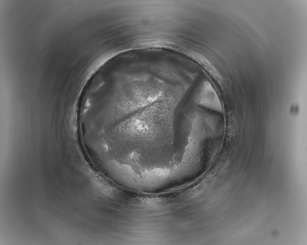 X0000102021031200808011419