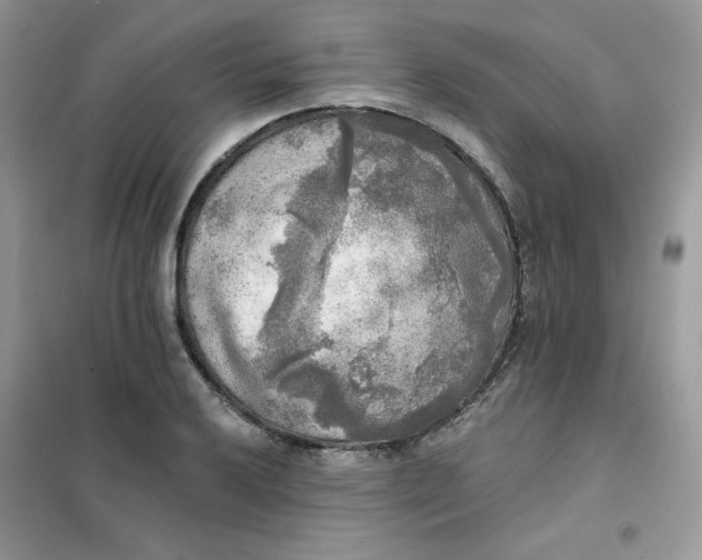 X0000102021032200808011419