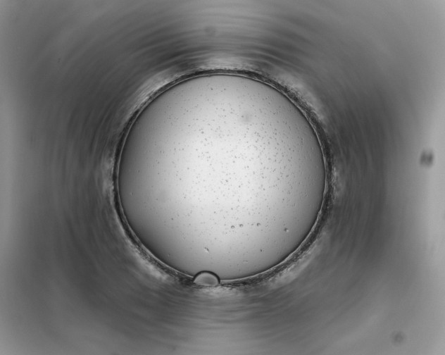 X0000102021033200808011419