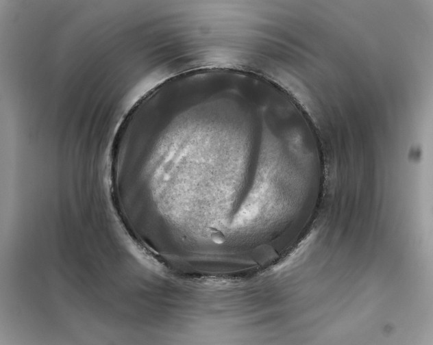 X0000102021034200808011419