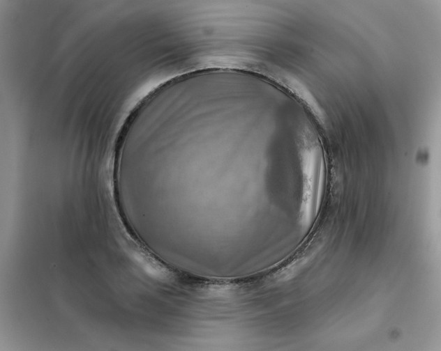X0000102021035200808011419
