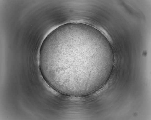 X0000102021036200808011419