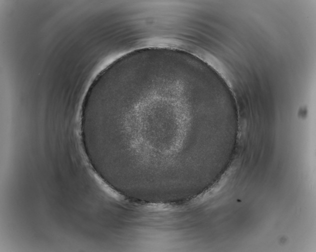 X0000102021037200808011419