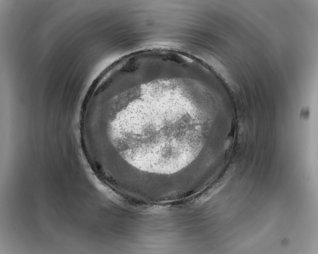 X0000102021038200808011419