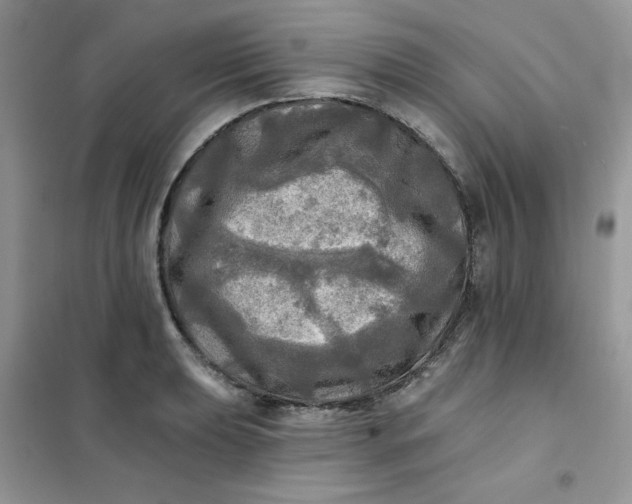 X0000102021039200808011419