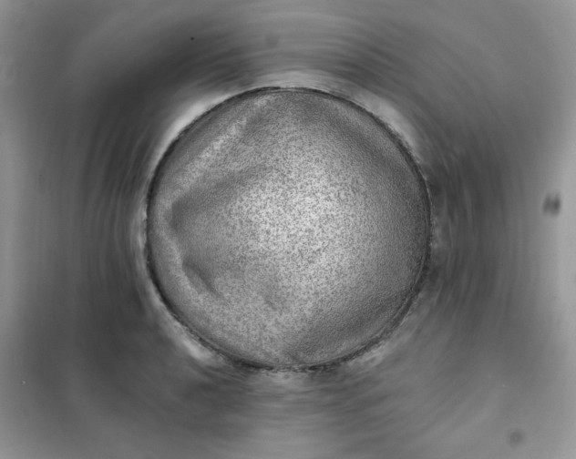X0000102021040200808011419
