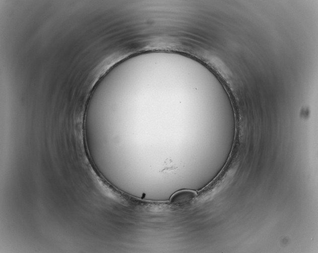 X0000102021041200808011419