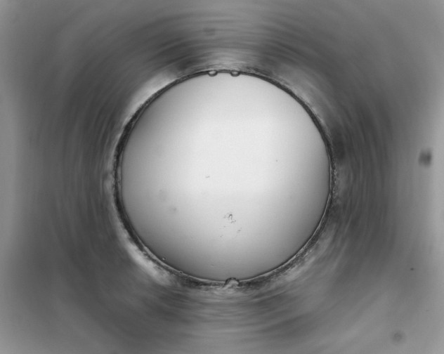 X0000102021042200808011419