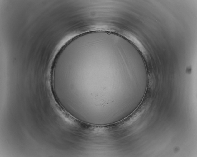 X0000102021043200808011419