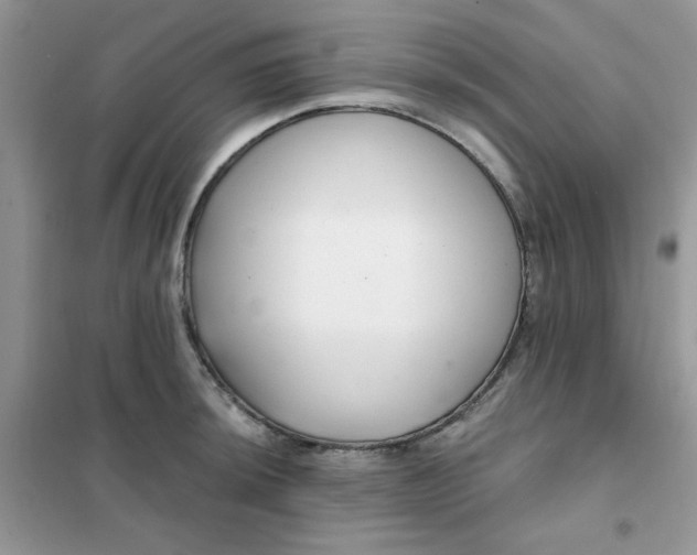 X0000102021044200808011419