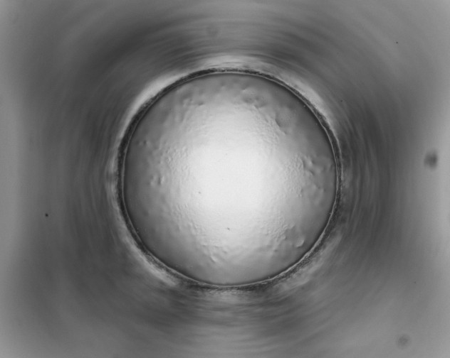 X0000102021045200808011419