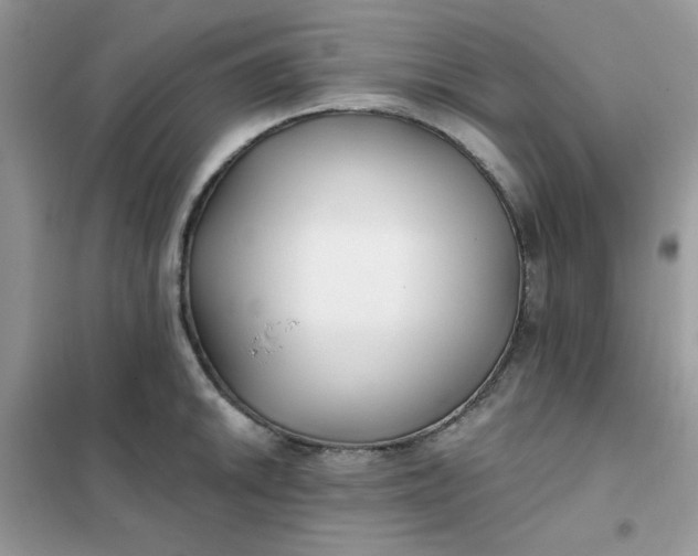 X0000102021046200808011419