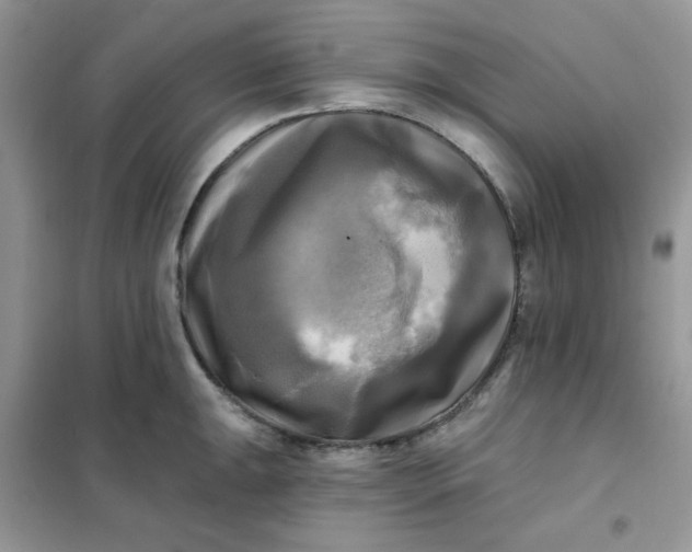 X0000102021047200808011419