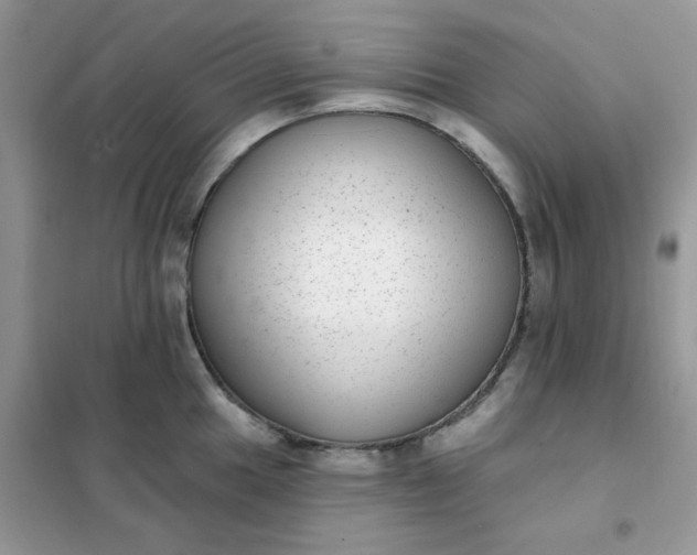 X0000102021049200808011419