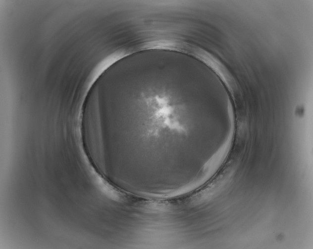 X0000102021050200808011419