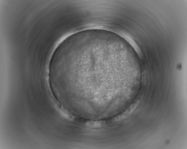 X0000102021051200808011419